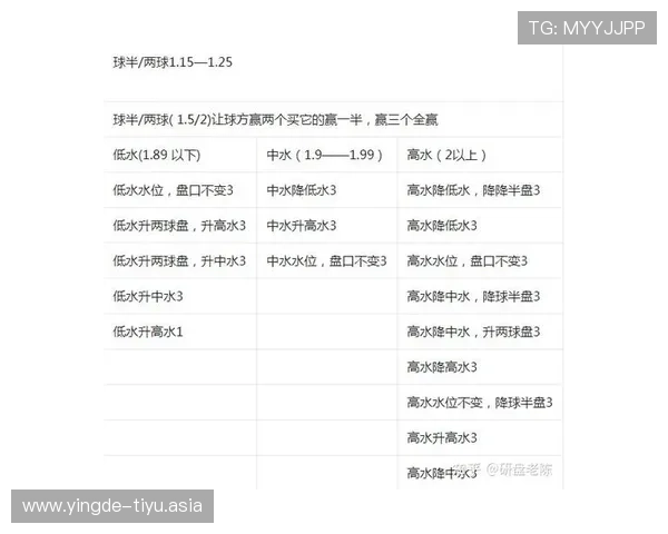 全面解析足彩310预测分析技巧帮助玩家科学制定投注策略实现盈利